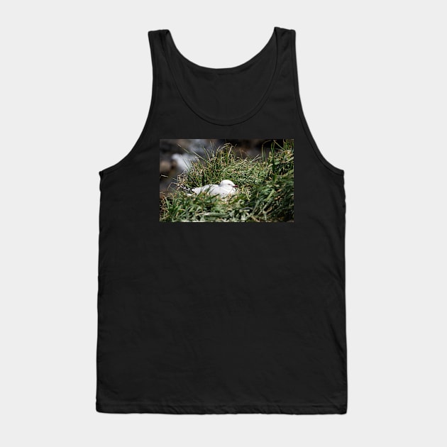 Seagull colony. Tank Top by sma1050